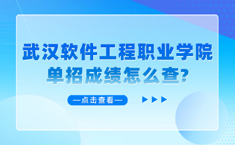 武汉软件工程职业学院单招