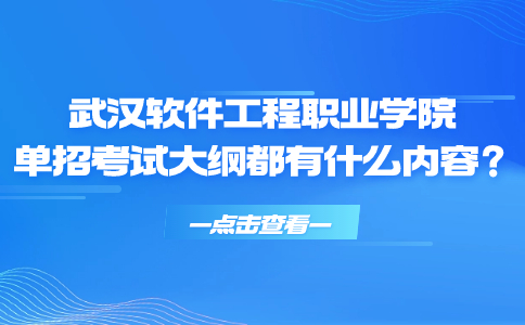 武汉软件工程职业学院单招